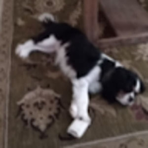 Meet your Posher, Jennifer